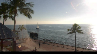 margaritaville webcam