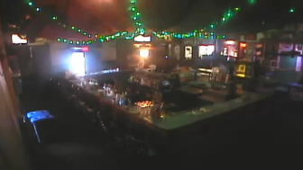 green-parrot-bar-webcam