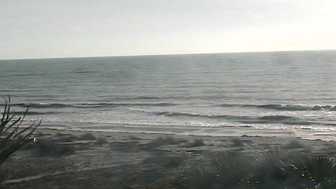 indian-shores-florida-beach-webcam