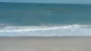 Cocoa Beach Webcam - The Best Live Beach Cams on The Planet