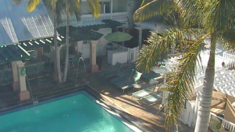 pineapple-pool-webcam-key-west-flordia