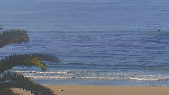 santa-monica-beach-webcam-zen-den