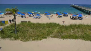 lauderdale