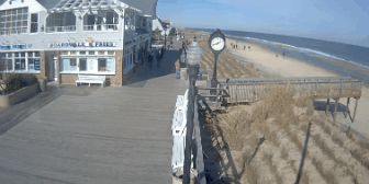 beach webcams